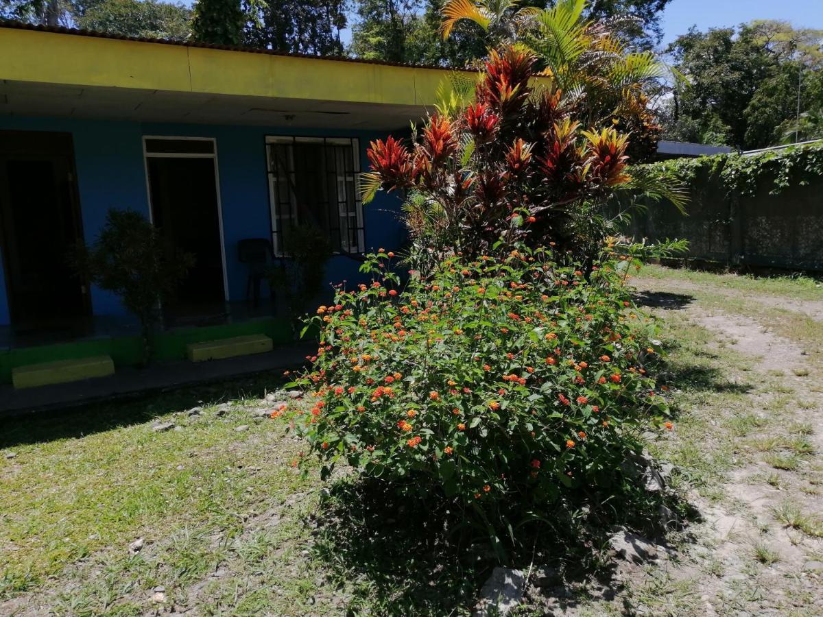 Magic Flower Rooms Cahuita Kültér fotó