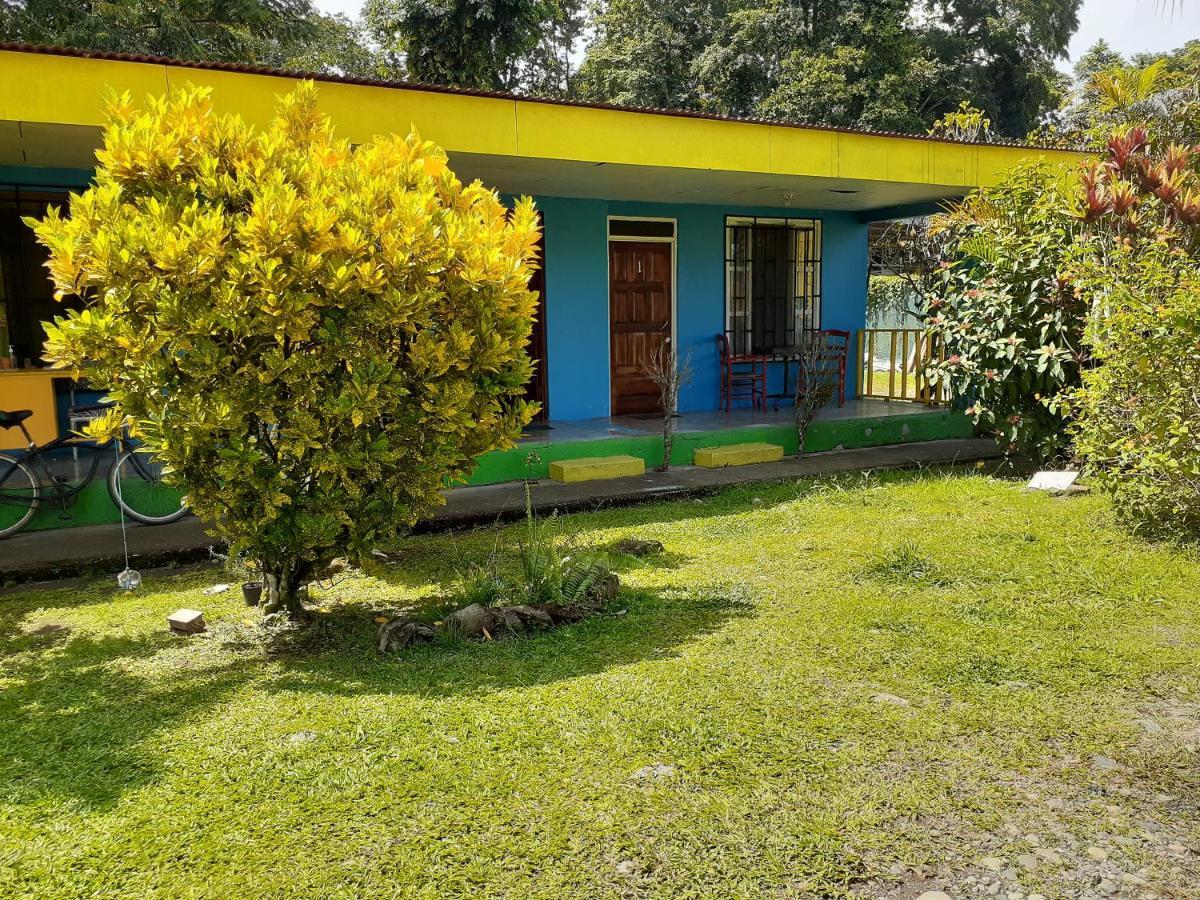 Magic Flower Rooms Cahuita Kültér fotó